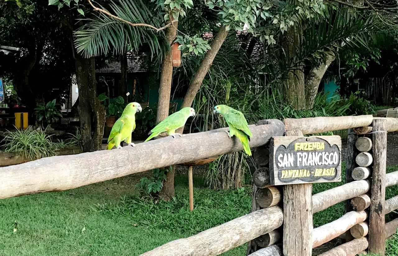 Fazenda San Francisco Hotel Porto  ภายนอก รูปภาพ